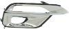 Picture of Fog Light Trim
