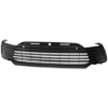 Picture of Bumper Grille