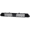 Picture of Bumper Grille
