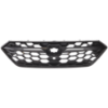 Picture of Grille Assembly
