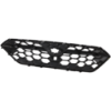 Picture of Grille Assembly