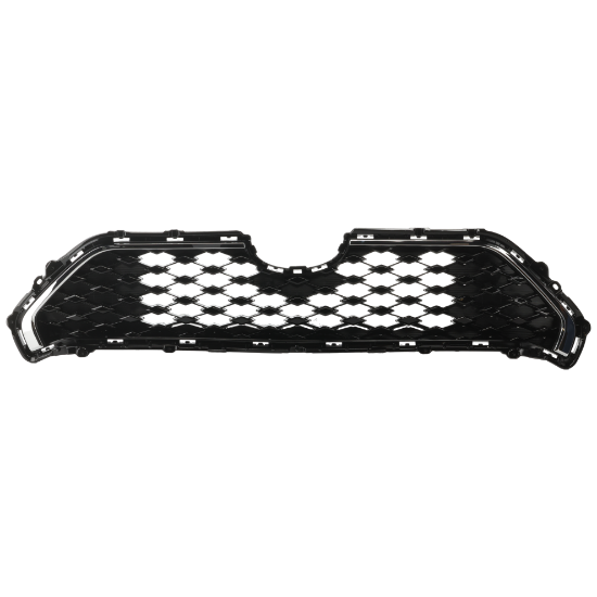 Picture of Grille Assembly