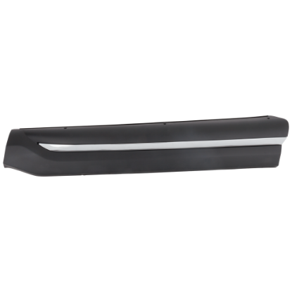 Picture of Door Molding and Beltlines