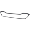 Picture of Grille Assembly