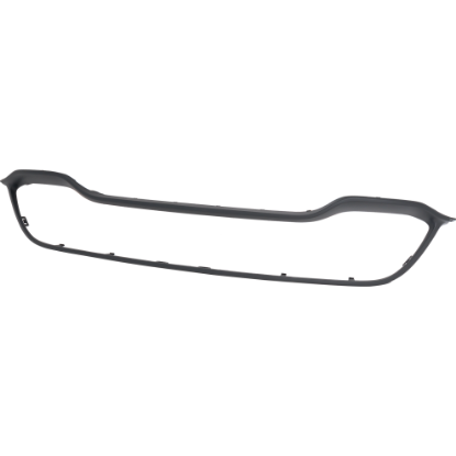 Picture of Grille Assembly