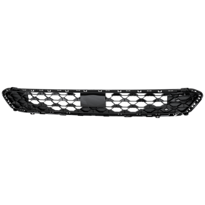Picture of Bumper Grille