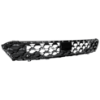 Picture of Bumper Grille