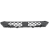 Picture of Bumper Grille