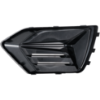 Picture of Fog Light Cover