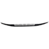 Picture of Bumper Grille