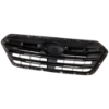 Picture of Grille Assembly