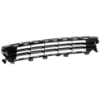 Picture of Bumper Grille