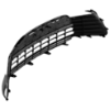 Picture of Bumper Grille