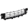 Picture of Bumper Grille