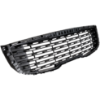Picture of Grille Assembly