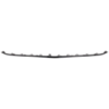 Picture of Bumper Trim