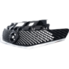 Picture of Grille Assembly