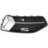 Picture of Bumper Grille