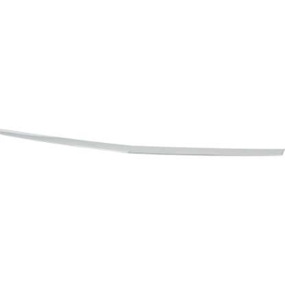 Picture of Hood Molding