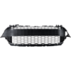 Picture of Bumper Grille