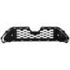 Picture of Grille Assembly