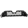 Picture of Grille Assembly