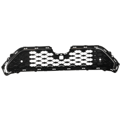 Picture of Grille Assembly
