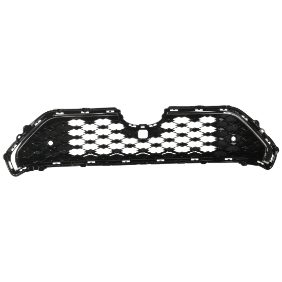 Picture of Grille Assembly