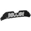 Picture of Grille Assembly