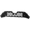 Picture of Grille Assembly
