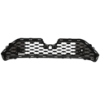Picture of Grille Assembly