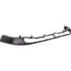 Picture of Bumper Guard