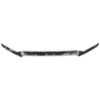 Picture of Grille Trim