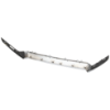 Picture of Grille Trim