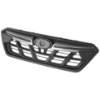 Picture of Grille Assembly