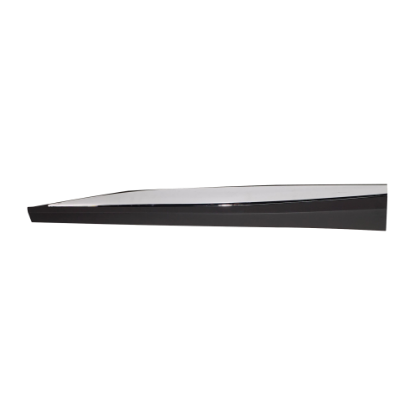 Picture of Door Molding and Beltlines
