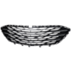 Picture of Bumper Grille