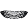 Picture of Bumper Grille