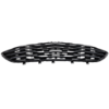 Picture of Bumper Grille