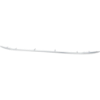 Picture of Bumper Trim