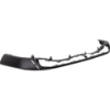 Picture of Bumper Guard
