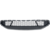 Picture of Bumper Grille