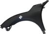 Picture of Fender