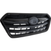 Picture of Grille Assembly