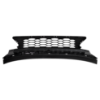 Picture of Bumper Grille