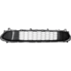 Picture of Bumper Grille
