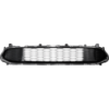 Picture of Bumper Grille