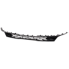 Picture of Grille Assembly