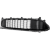 Picture of Bumper Grille