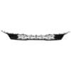 Picture of Grille Assembly